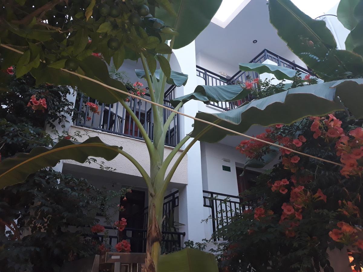 Anthi Katerina Rooms Platanés Exterior foto